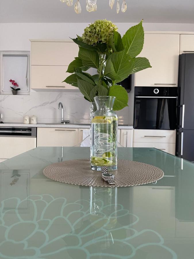 Apartmani Cirovic Luxury 赫尔采格诺维 外观 照片